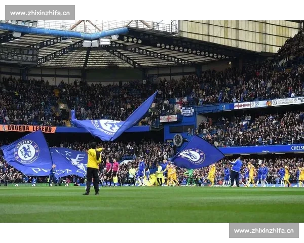 雨燕免费直播观看高品质足球赛事全程在线体验指南全方位实用推荐