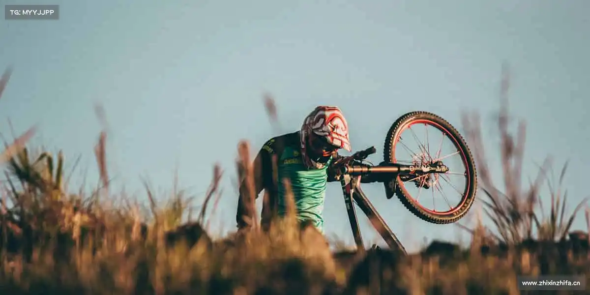 我们的品牌价值